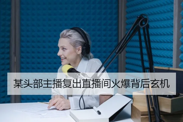 某头部主播复出直播间火爆背后玄机